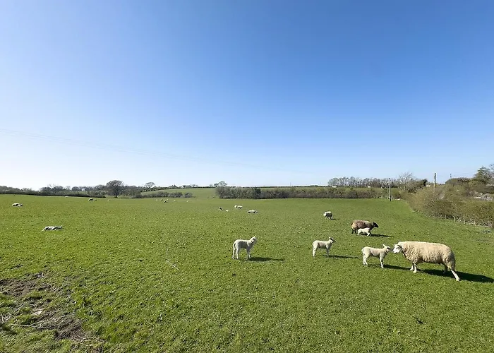 Spacious 4-bed District Getaway For Groups